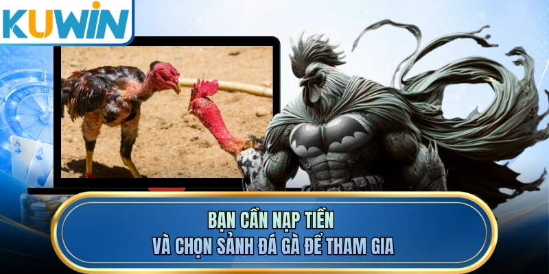 Bạn cần nạp tiền và chọn sảnh đá gà để tham gia
