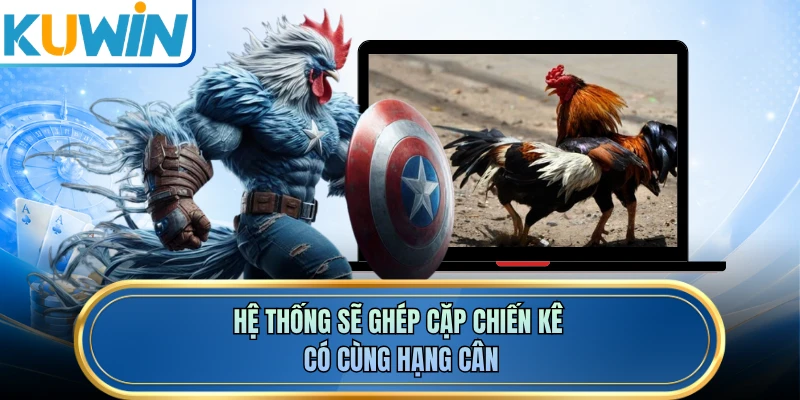 Hệ thống sẽ ghép cặp chiến kê có cùng hạng cân