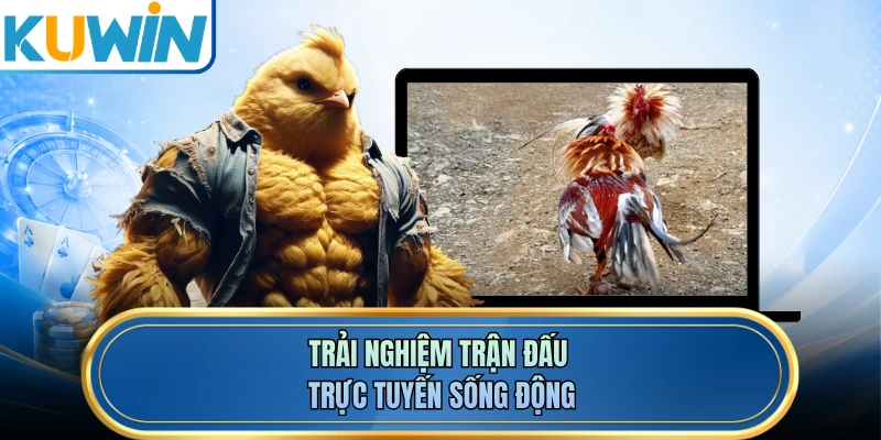 Trải nghiệm trận đấu trực tuyến sống động